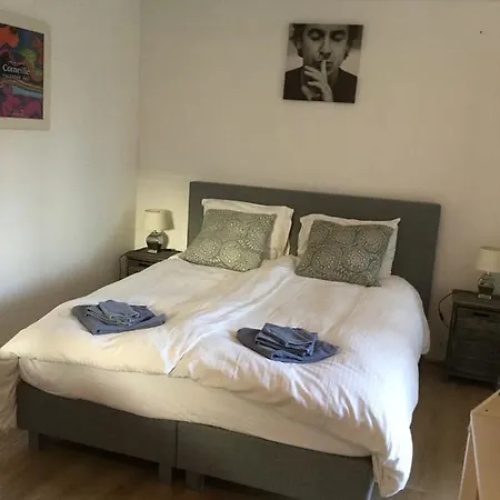 Florian Studio's Penzion Zandvoort